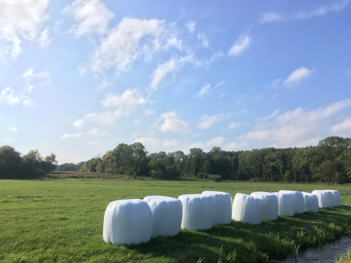 Un estudio advierte que un elevado uso de la tierra reduce los efectos beneficiosos de la biodiversidad