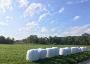 Un estudio advierte que un elevado uso de la tierra reduce los efectos beneficiosos de la biodiversidad