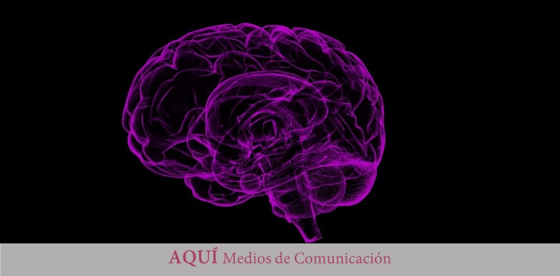 Descubren una proteína clave en el desarrollo del autismo