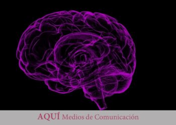 Descubren una proteína clave en el desarrollo del autismo