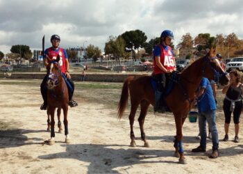 El Paraje Natural Los Algezares de Aspe acoge un nuevo Raid Hípico