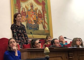 Elche-pleno-plan inversiones-enero-2019-3