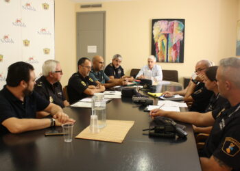 La Junta de Seguridad en Novelda perfila el convenio con Subdelegación de Gobierno en materia de violencia de género