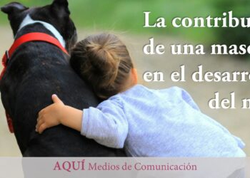 La contribución de una mascota en el desarrollo del niño
