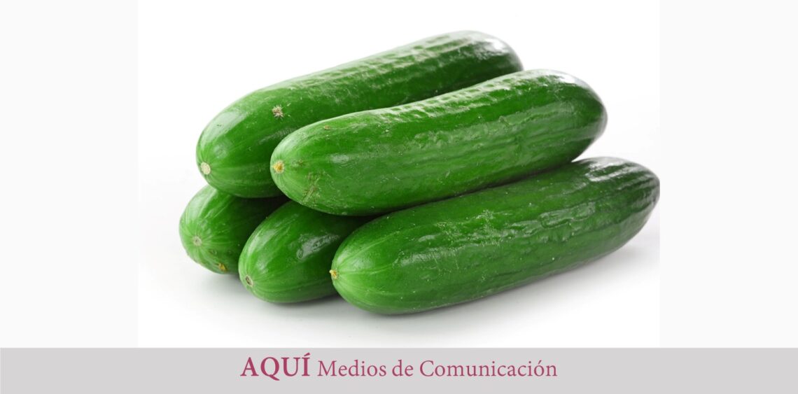 Los grandes beneficios y propiedades del pepino