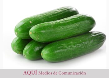 Los grandes beneficios y propiedades del pepino