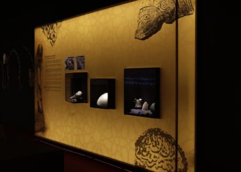 Museo Dámaso Navarro: el pasado de Petrer mira al futuro