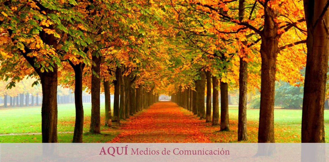 Otoño: renovación y depuración en la nueva estación