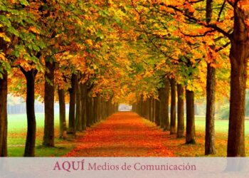 Otoño: renovación y depuración en la nueva estación