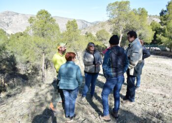 Petrer-almadrava-febrero-2019