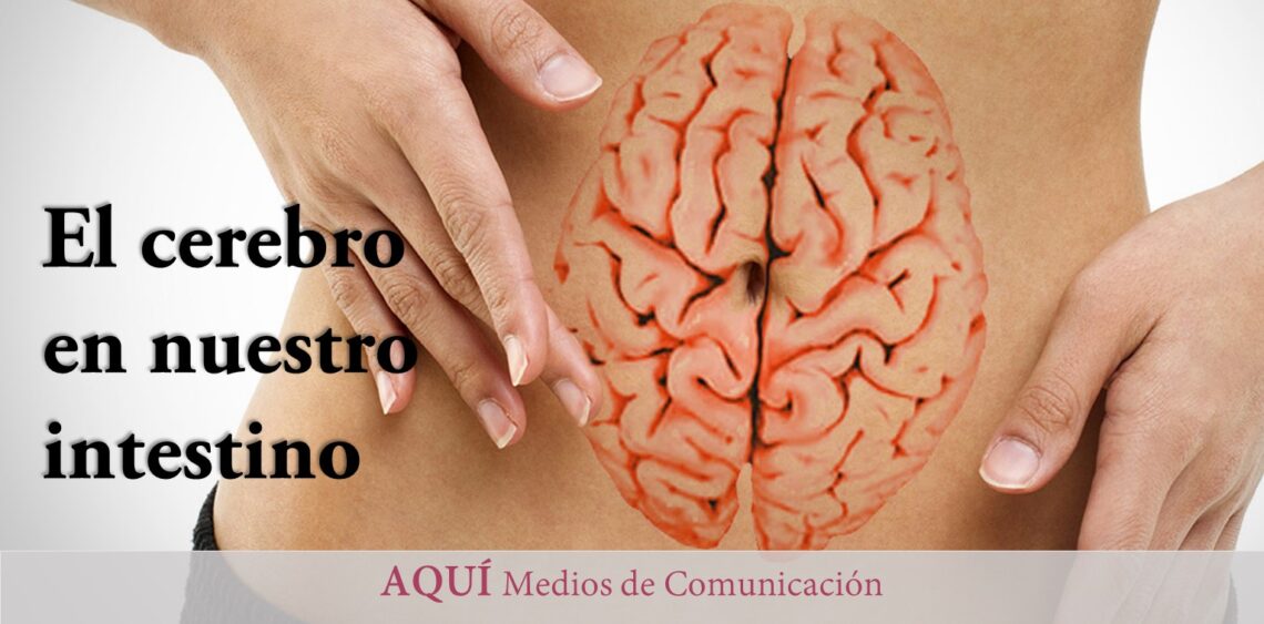 Por qué lo llaman «el segundo cerebro» y otros 6 datos sorprendentes sobre el intestino