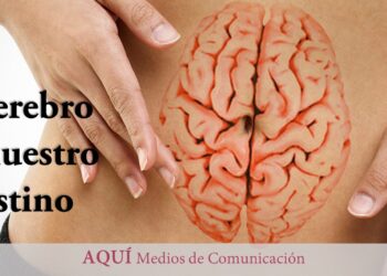 Por qué lo llaman «el segundo cerebro» y otros 6 datos sorprendentes sobre el intestino