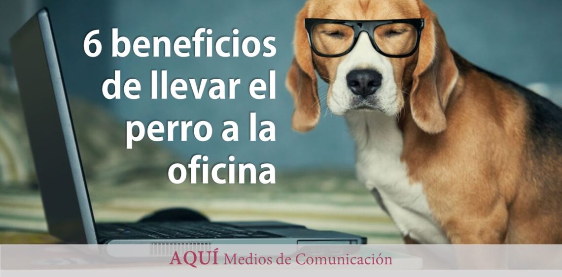 Seis Beneficios de llevar el perro a la oficina