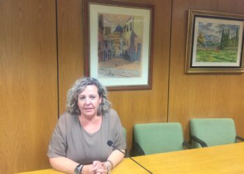 Villaplana: «Petrer no avanza»