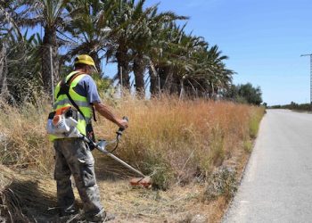 Albatera contrata a 48 personas para el Convenio Agrícola 2020