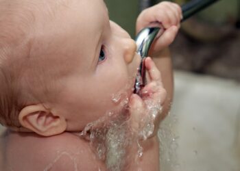 «El agua corriente de Alicante no necesita de ningún dispositivo para tratarla»