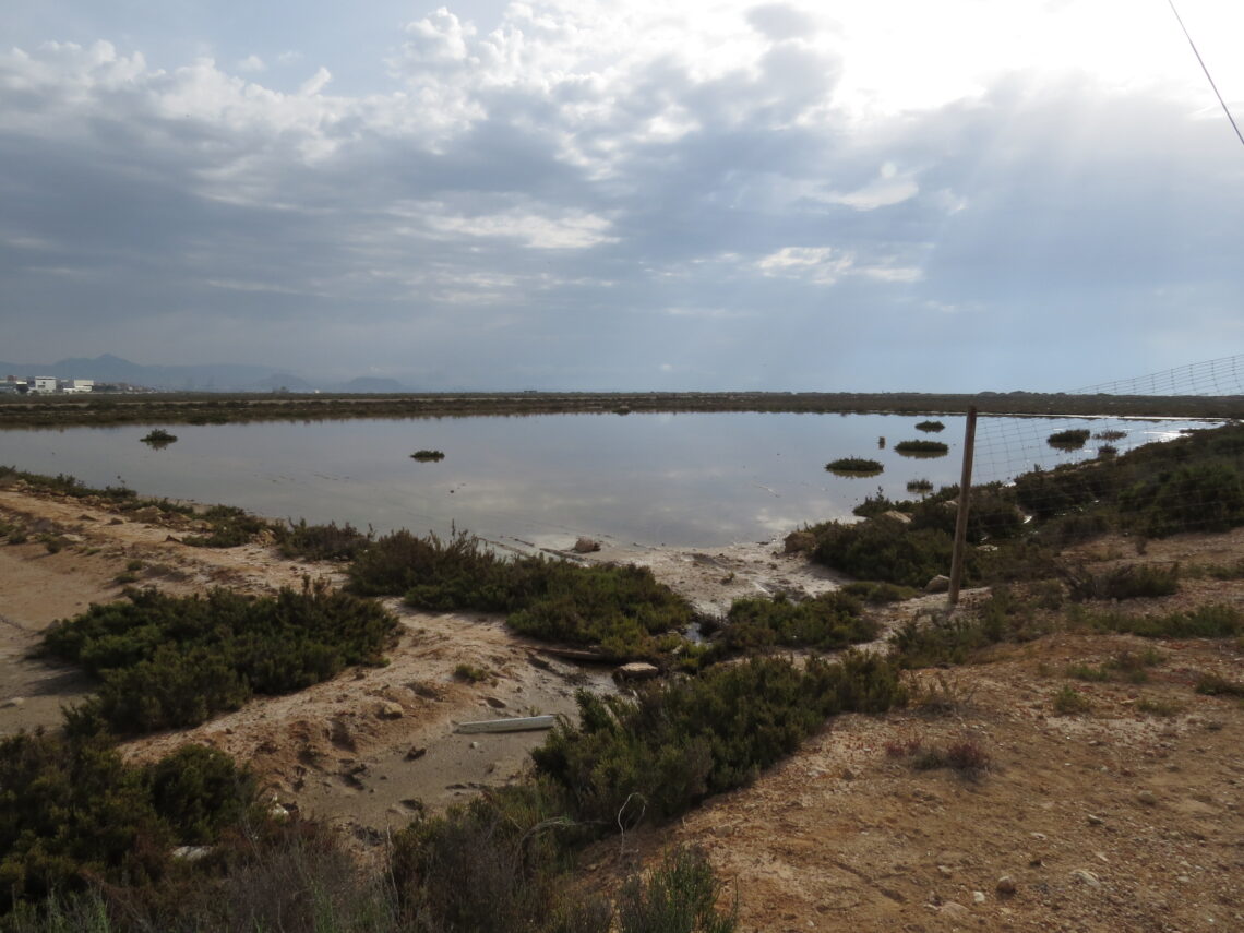 alicante-aguamarga-basuras-caravanas-enero-2019-2