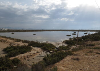 alicante-aguamarga-basuras-caravanas-enero-2019-2