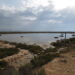 alicante-aguamarga-basuras-caravanas-enero-2019-2