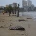 alicante-albufereta-efectos-de-la-climatologia-adversa-abril-2019-1
