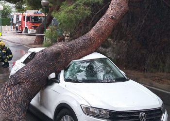 Los bomberos del SPEIS retiran un árbol caído sobre un vehículo