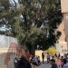 alicante-colegio-palmeral-obras-febrero-2020