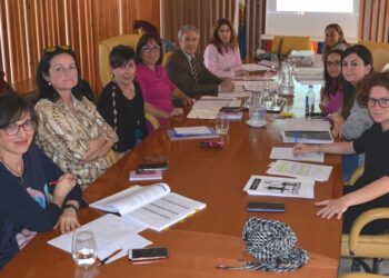 alicante-comision-plan-municipal-de-igualdad-abrril-2019