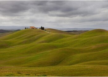 alicante-concurso-fotografico-febrero-2019-5