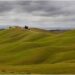 alicante-concurso-fotografico-febrero-2019-5