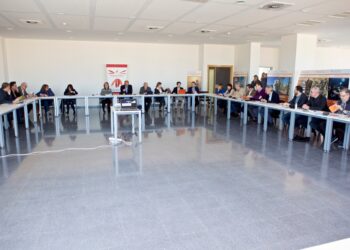 alicante-consejo-de-gobierno-ua-marzo-2019-1