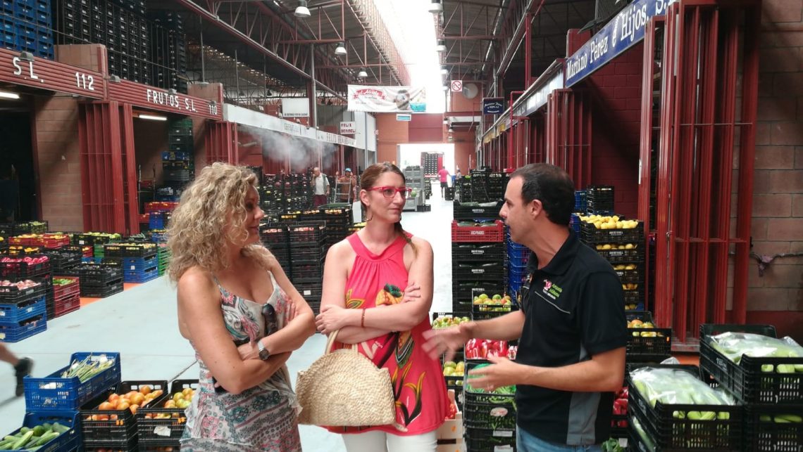 alicante-coworking-mercalicante-julio-2019