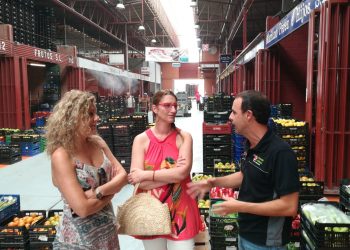 alicante-coworking-mercalicante-julio-2019