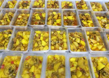 alicante-cruz-roja-comida-caliente-abril-2020-1