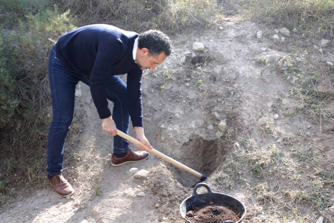 alicante-dia-arbol-febrero-2019-3