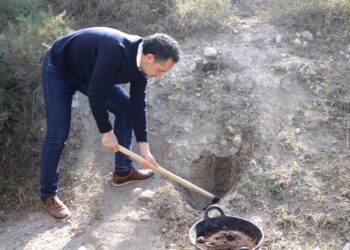 alicante-dia-arbol-febrero-2019-3