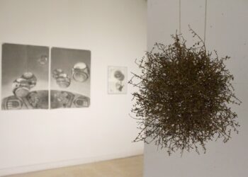 alicante-exposicion-centro-14-febrero-2019