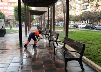 alicante-limpieza-poda-plaza-benalua-marzo-2019