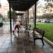 alicante-limpieza-poda-plaza-benalua-marzo-2019
