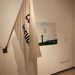 El MUA y el Juan Gil Albert inauguran la XX edición de los Encuentros de Arte Contemporáneo