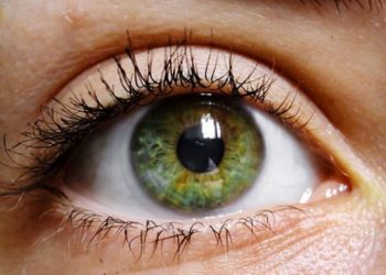 alicante-ojos-noviembre-2019