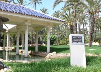 alicante-palmeral-junio-2019