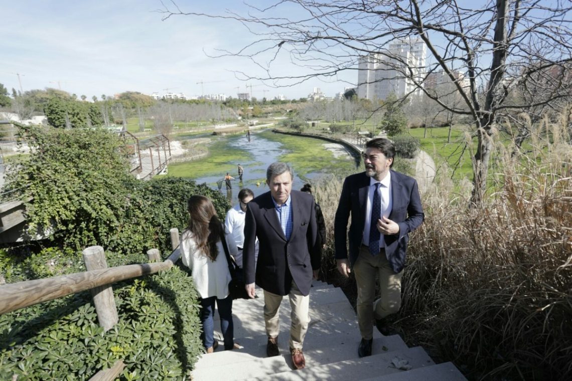 alicante-parque-la-marjal-limpieza-y-mantenimiento-febrero-2020-4