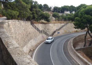 alicante-plano-reforestacion-tossal-febrero-2019-1