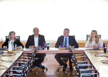 alicante-pleno-consejo-social-abril-2019