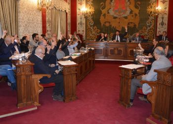 alicante-pleno-noviembre-2019-1