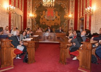 alicante-pleno-sorteo-participantes-mesa-electoral-mayo-2019