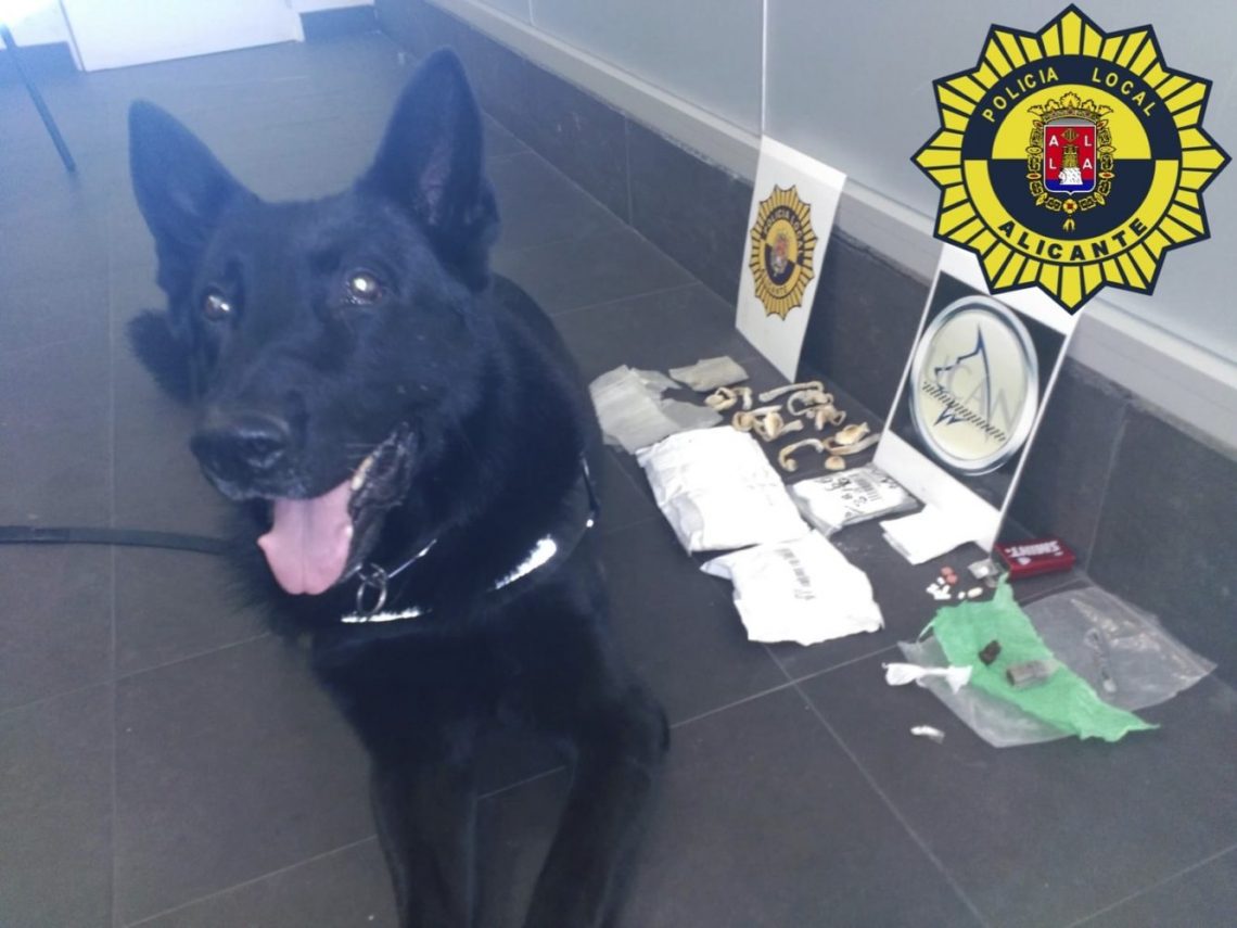 alicante-policia-canina-drogas-julio-2019