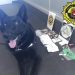alicante-policia-canina-drogas-julio-2019