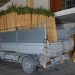 alicante-preparacion-canas-santa-faz-camion-abril-2019