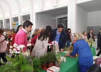 alicante-rastro-asociacion-nueva-futura-noviembre-2019-1